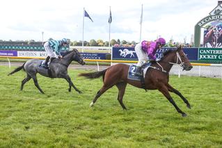 Last weekends NZB Airfreight Stakes winner Secret Allure (NZ).